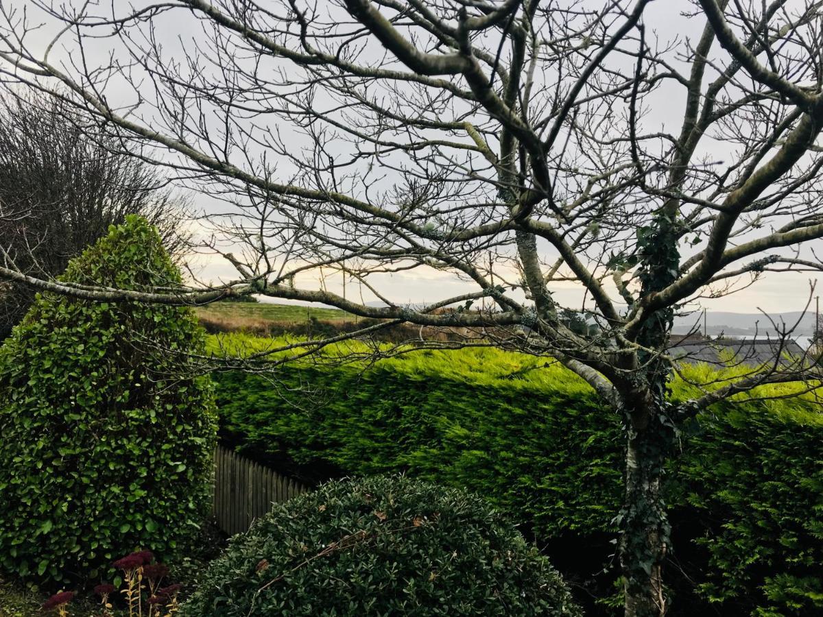 Hill Sea View Cottage Glengarriff Buitenkant foto